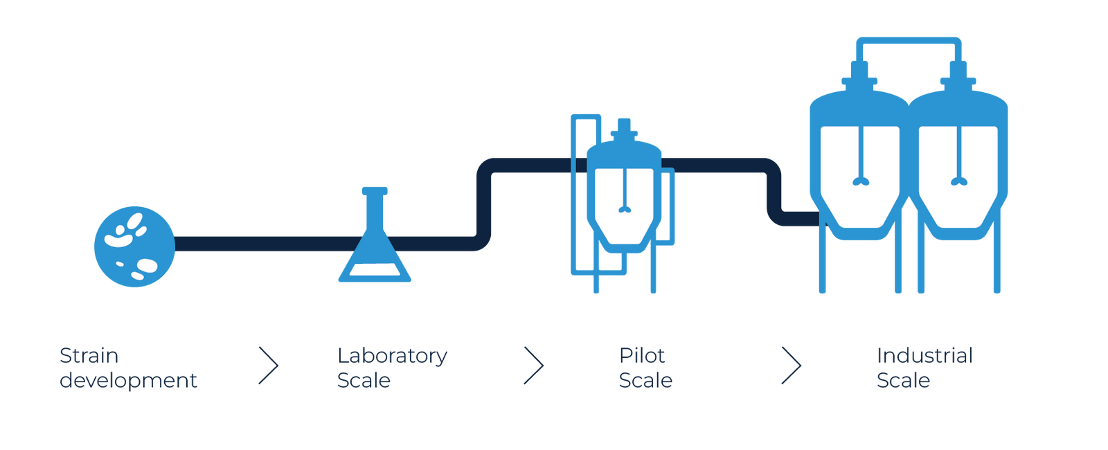 End-to-end contract manufacturing for scalable biotech innovations