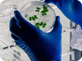 Fermentation lab